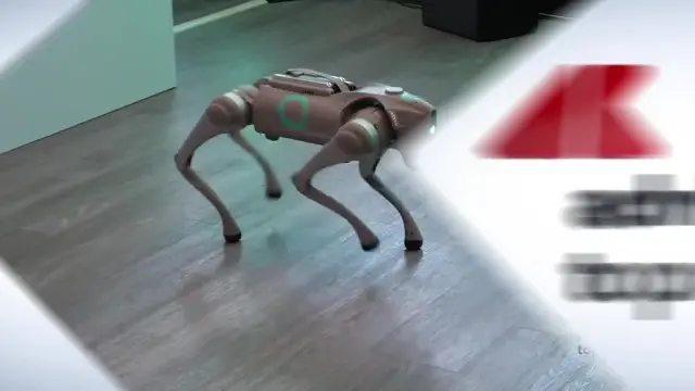 Acea sigla un accordo di ricerca con l'IIT per la robotica