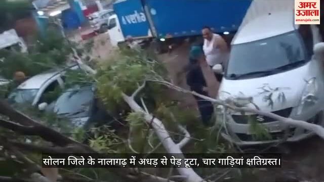 पेड़ टूटने से चार गाड़ियां क्षतिग्रस्त