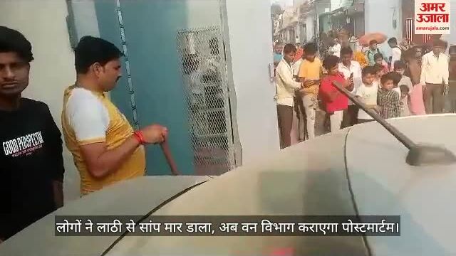 VIDEO : बदायूं में सांप को मारकर जलाया, आरोपियों के खिलाफ दर्ज होगी एफआईआर