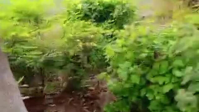 Young man offered namaz in the garden of Taj Mahal, video went viral