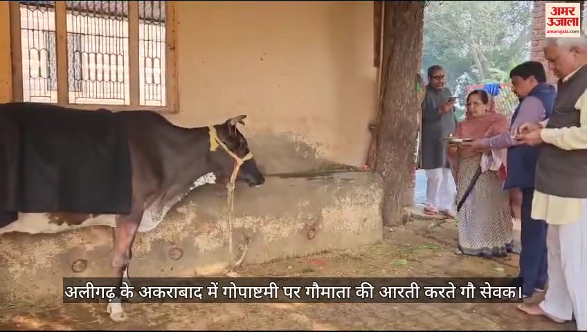 VIDEO : अलीगढ़ के विजयगढ़ में गोपाष्टमी पर गौमाता की आरती करते गौ सेवक