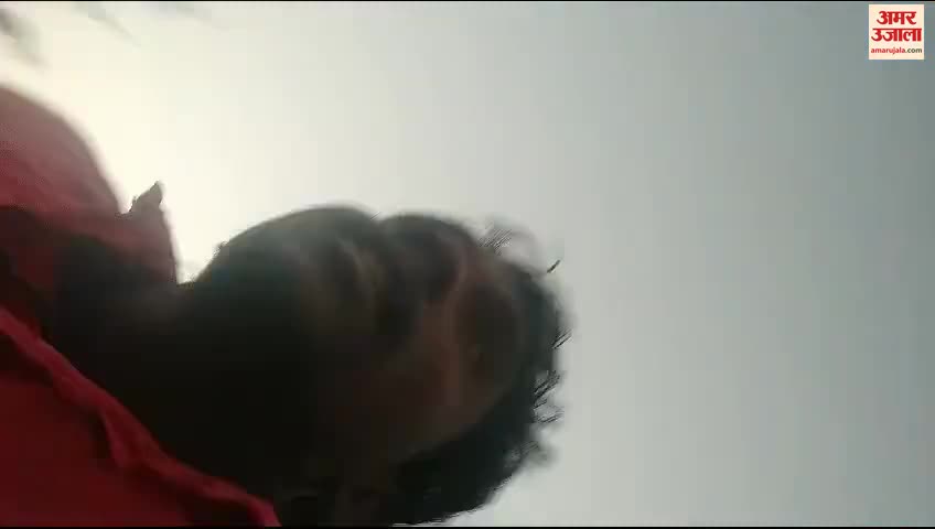 हाथियों का झुंड देख गिरा साइकिल सवार।