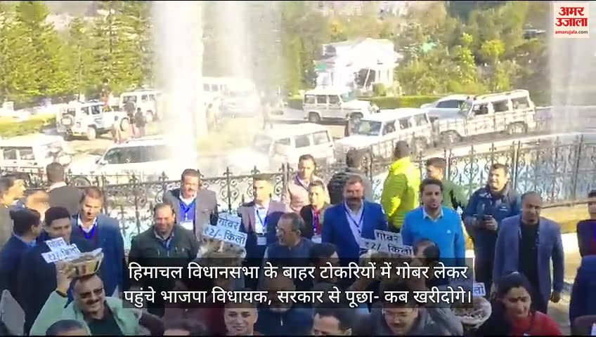 VIDEO : BJP MLA Protest against Himachal Congress government guarantee on cow dung