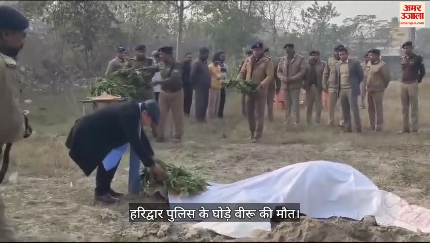 हरिद्वार पुलिस ने घोड़े वीरू को दी अंतिम विदाई