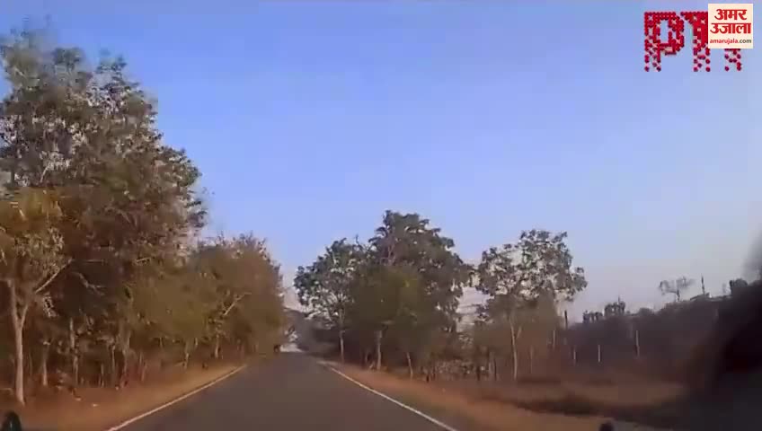 ऋषिकेश हादसा