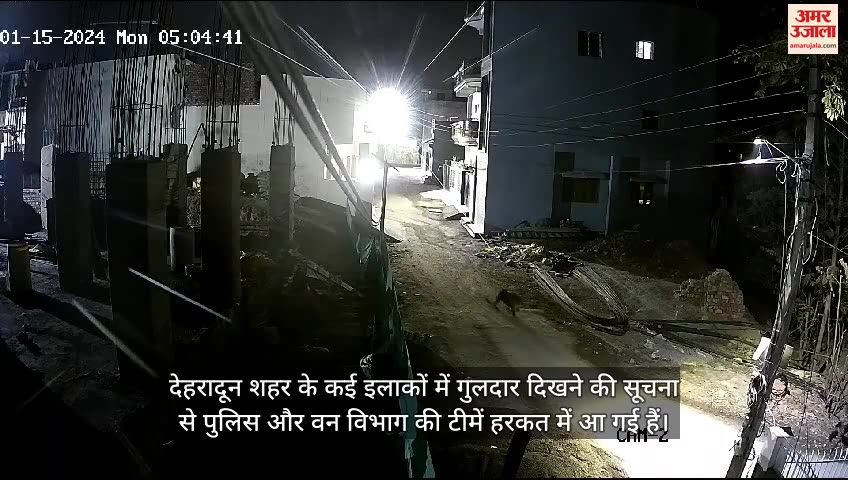 देहरादून में गुलदार