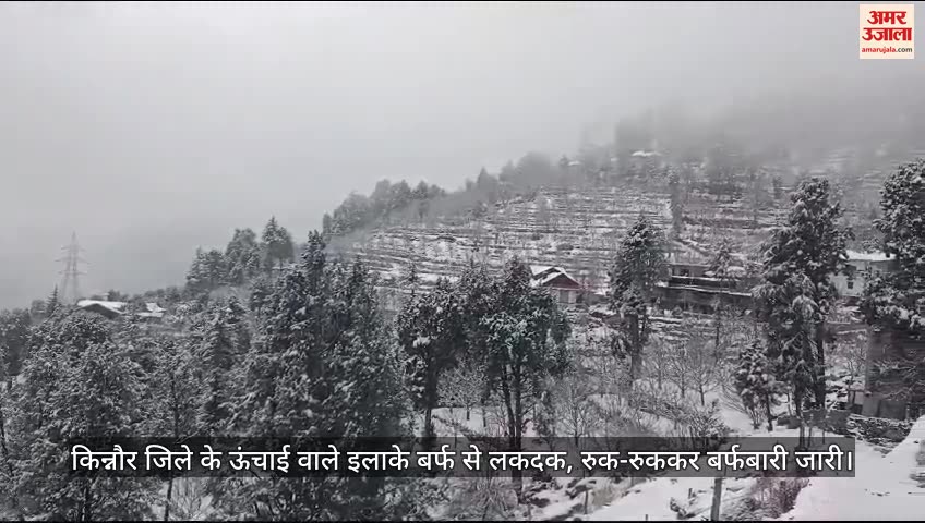 VIDEO : High altitude areas of Kinnaur district covered with snow, intermittent snowfall continues