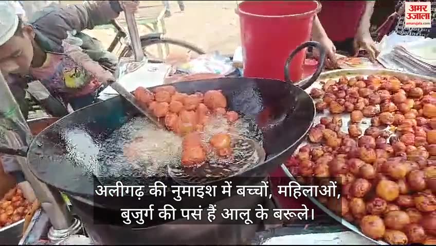 VIDEO : अलीगढ़ की नुमाइश में बच्चों, महिलाओं, बुजुर्ग की पसं हैं आलू के बरूले