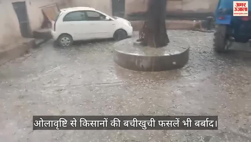 VIDEO : हमीरपुर में धुंधपुर सहित आसपास के गांवों में जमकर हुई ओलावृष्टि, फसलें पूरी तरह बर्बाद...किसान मायूस