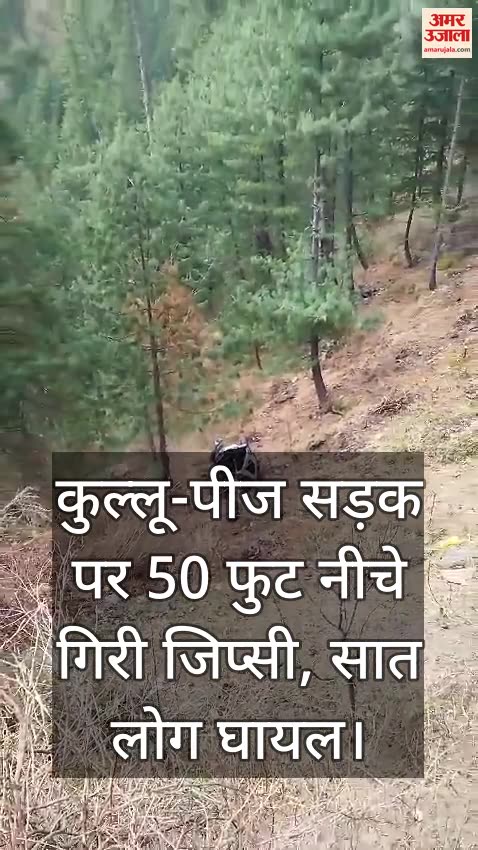 VIDEO : Gypsy fell 50 feet on Kullu-Pij road, seven people injured