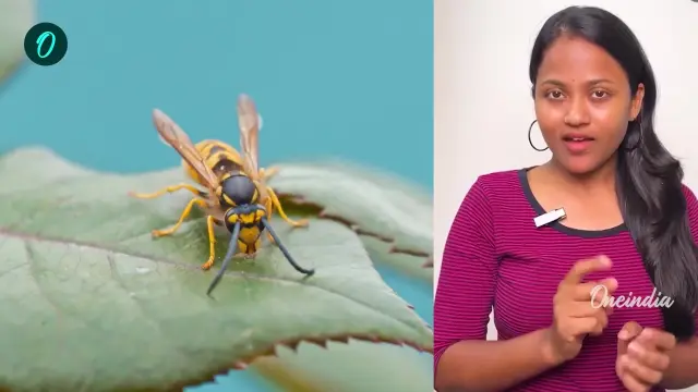 Israel laser weapon | Indian Army Bee Warriors | Ukraine Russia | ADB's aid to Pakistan | Nandhini