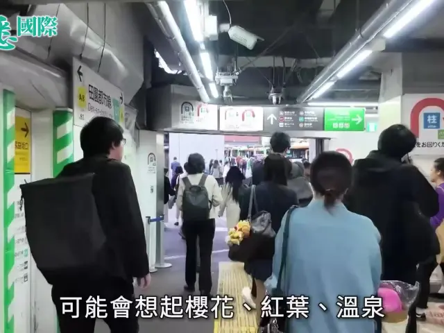 日本熊患為何今年特別嚴重？172宗襲擊10死　40年間熊隻暴增3倍　目擊範圍擴大60%｜熊出沒注意｜東京｜01國際